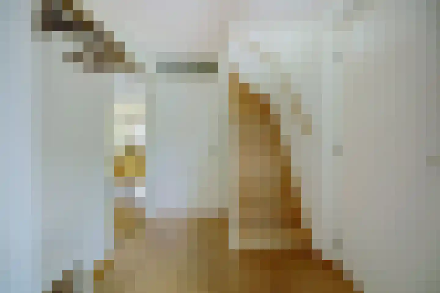 Zilverschoonstraat 16 Heinkenszand thumbnail 5