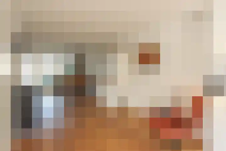 Zilversmedengilde 21 Dronten thumbnail 16
