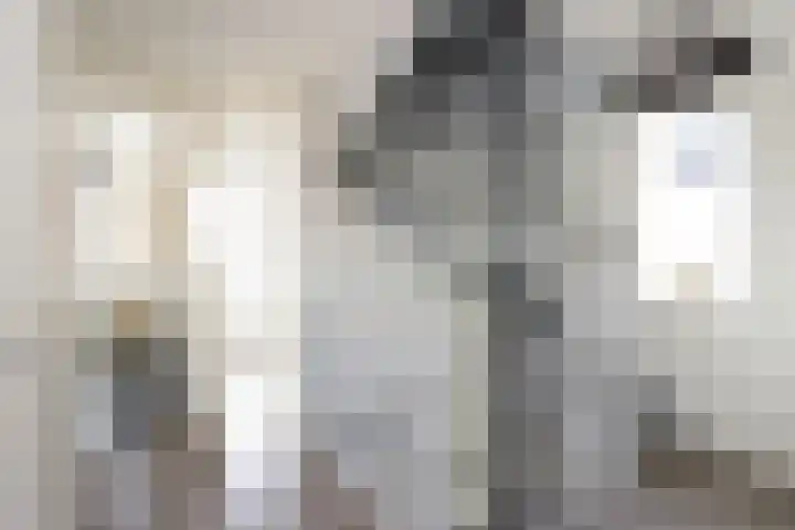 Zilversmedengilde 21 Dronten thumbnail 23