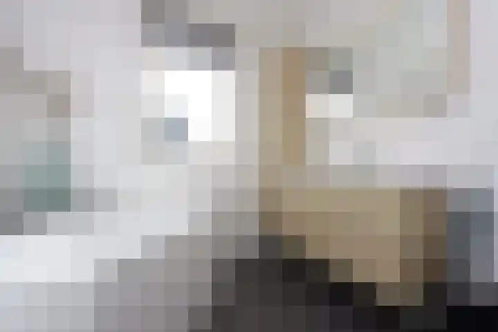 Zilversmedengilde 21 Dronten thumbnail 35