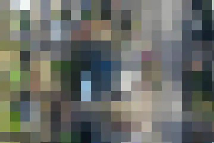 Zilversmedengilde 21 Dronten thumbnail 42