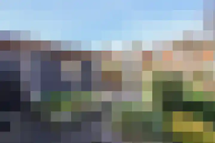 Zilversmedengilde 21 Dronten thumbnail 43