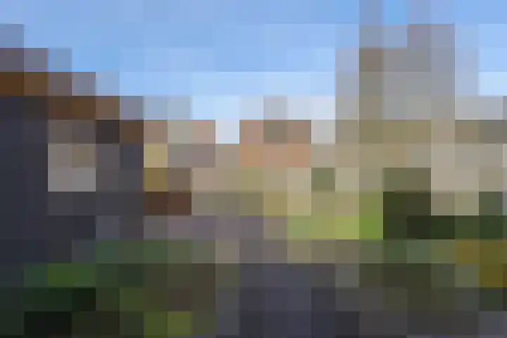 Zilversmedengilde 21 Dronten thumbnail 44