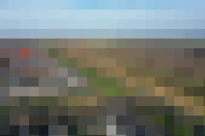 Zilversmedengilde 21 Dronten thumbnail 52