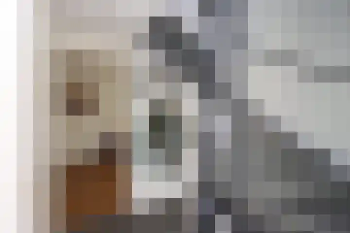 Zilversmedengilde 21 Dronten thumbnail 9