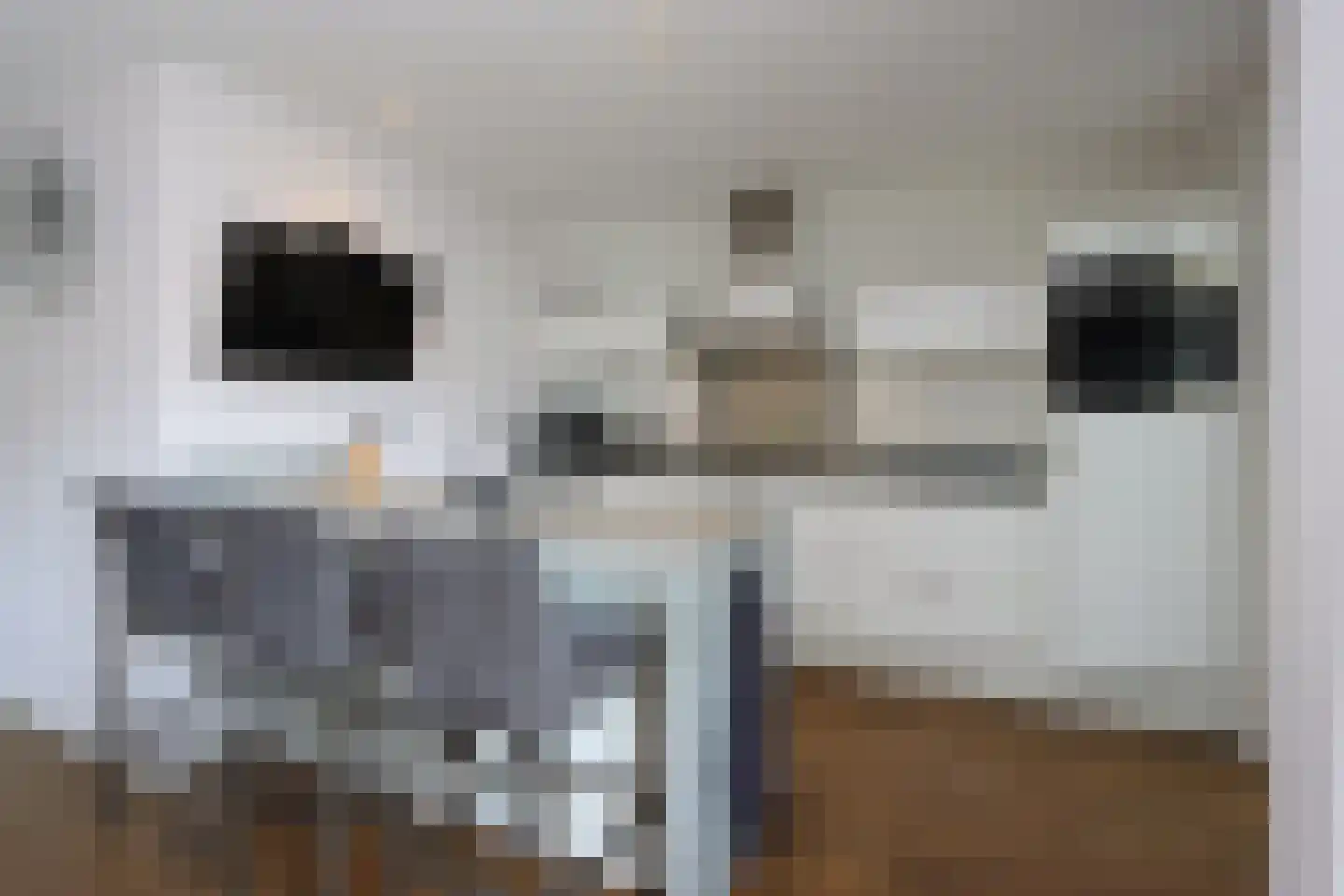 Zilversmedengilde 5 Dronten thumbnail 18