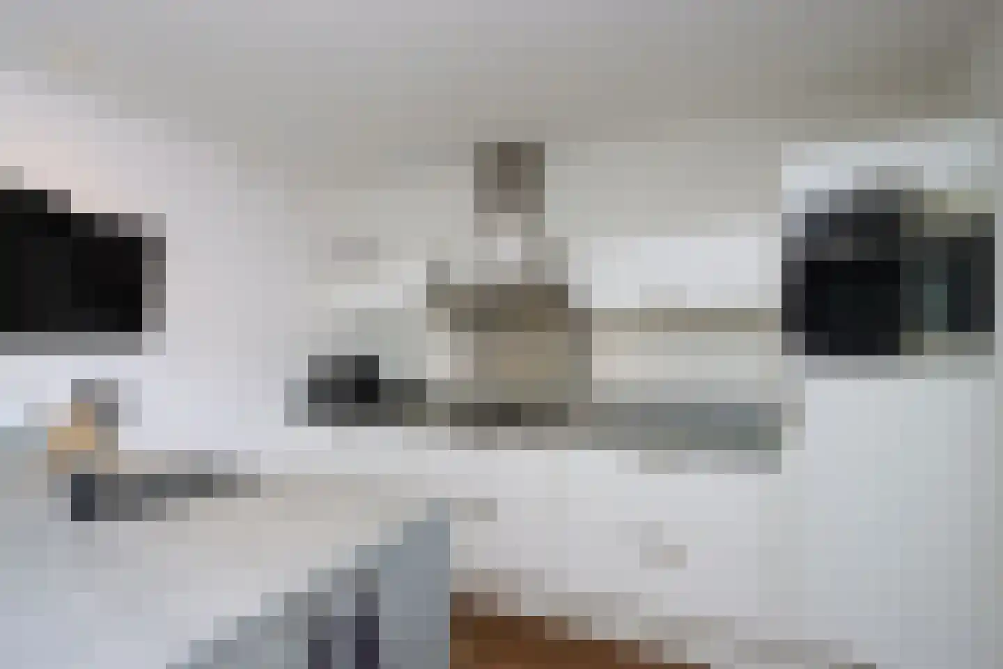 Zilversmedengilde 5 Dronten thumbnail 19