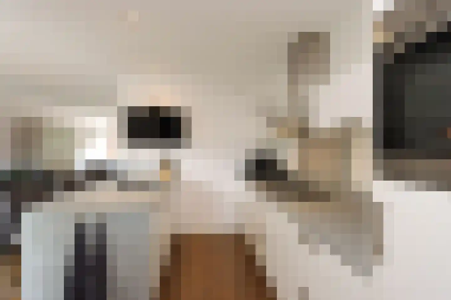 Zilversmedengilde 5 Dronten thumbnail 20