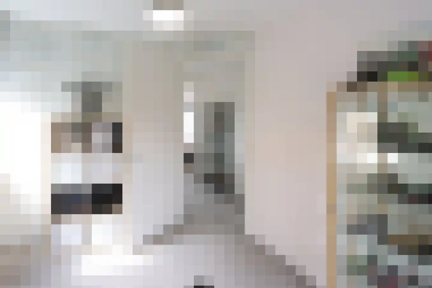 Zilversmedengilde 5 Dronten thumbnail 28