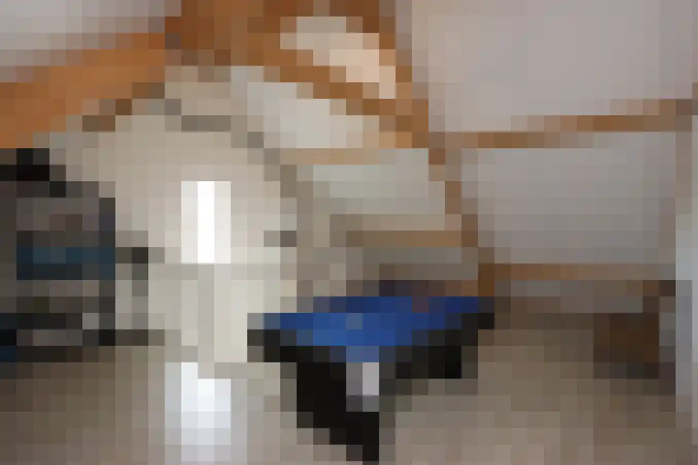 Zilversmedengilde 5 Dronten thumbnail 39