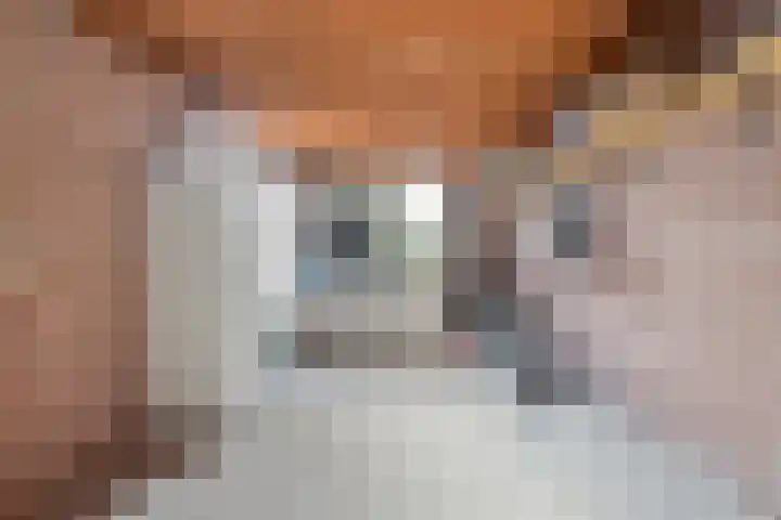 Zilversmid 39 Groenlo thumbnail 18