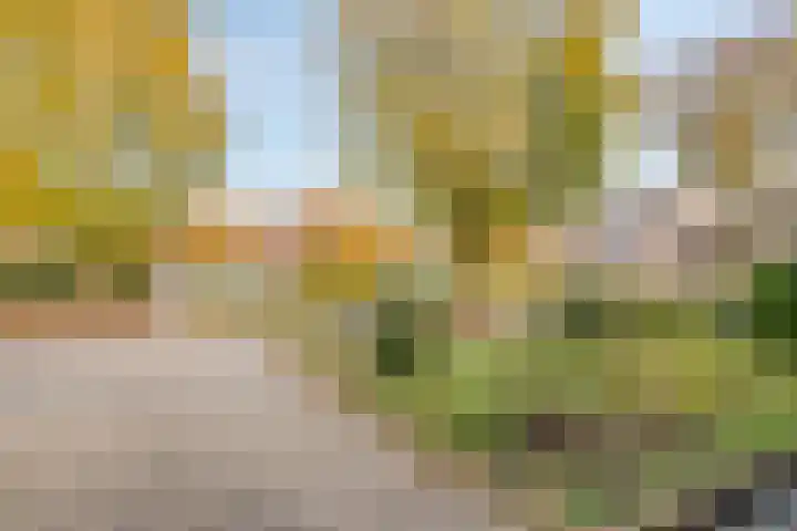Zilversmid 39 Groenlo thumbnail 32
