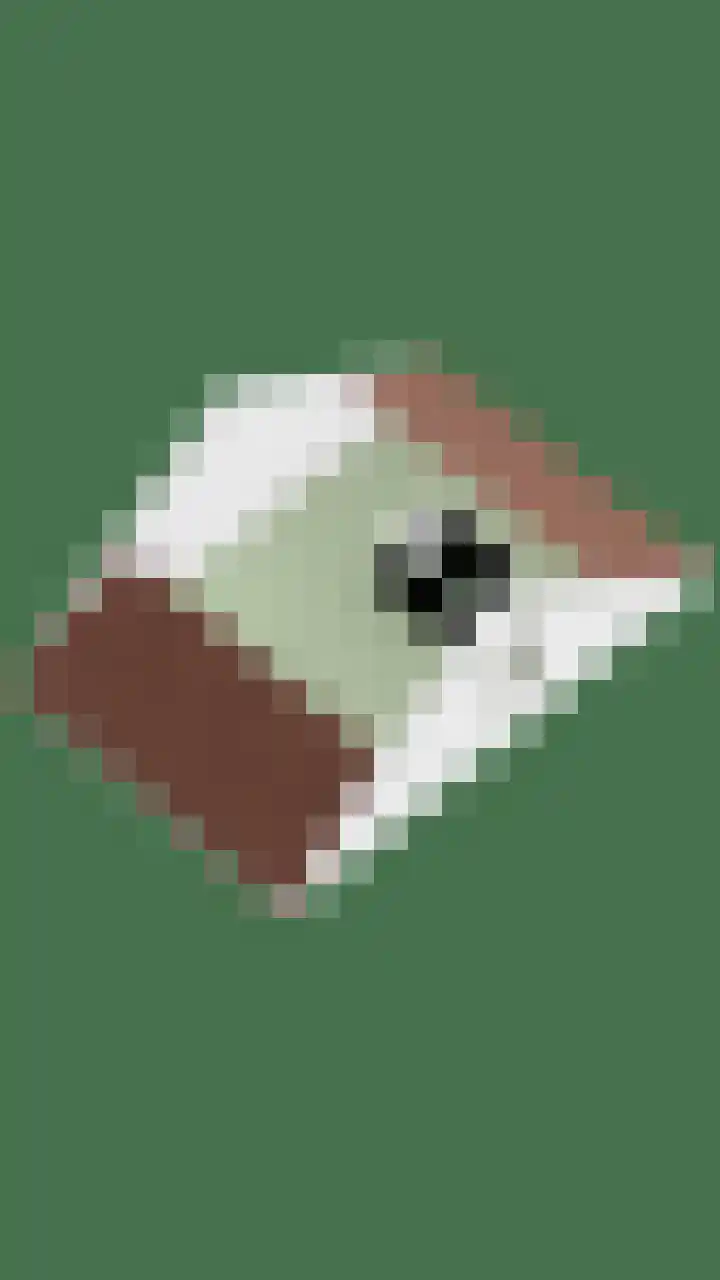 Zilversmid 39 Groenlo thumbnail 40