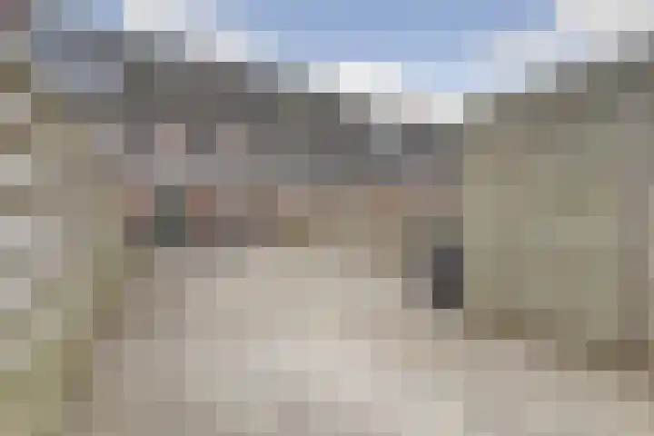 Zilversmid 6 Zeewolde thumbnail 30