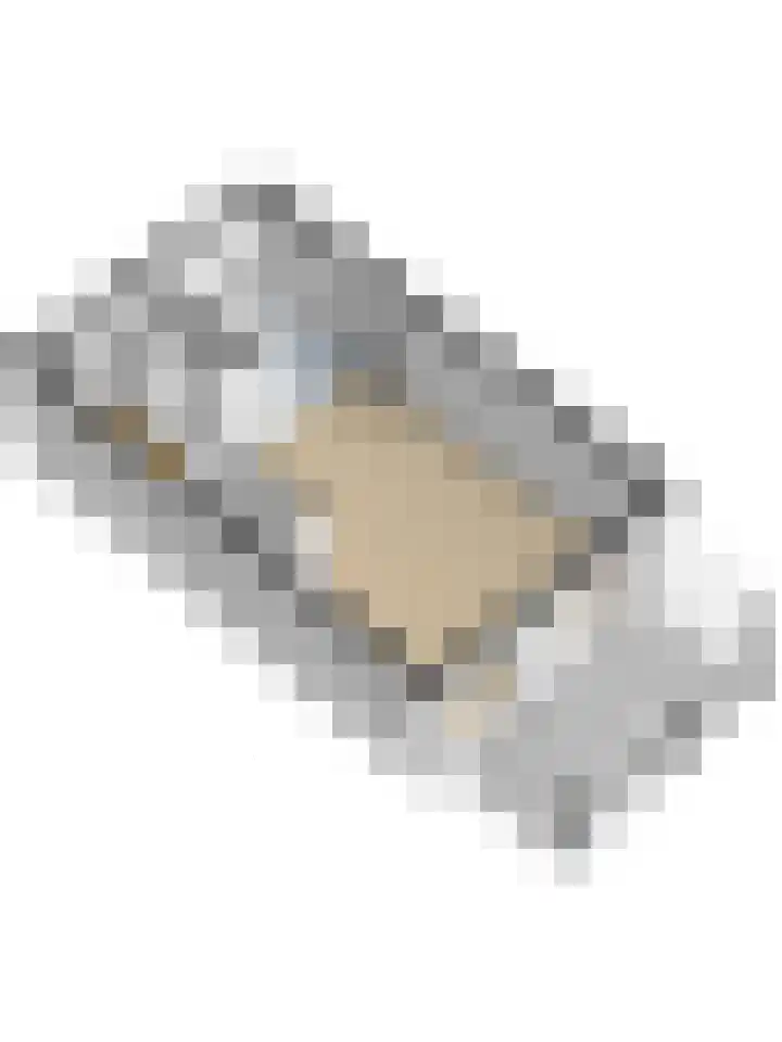 Zilversmid 6 Zeewolde thumbnail 48