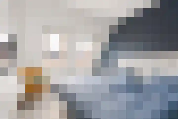 Zilversmid 8 Zeewolde thumbnail 19