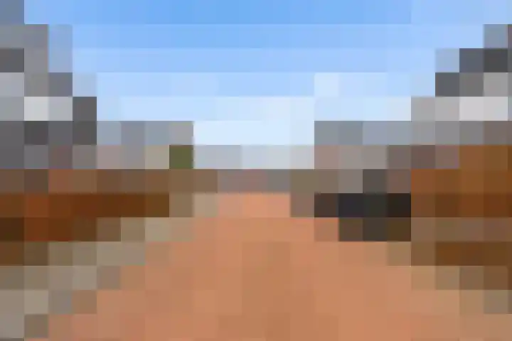 Zilversmid 8 Zeewolde thumbnail 43