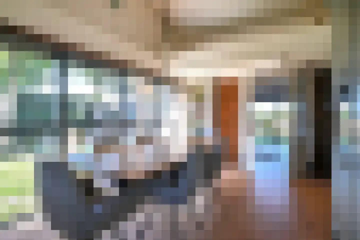 Zilverspar 14 Putten thumbnail 11