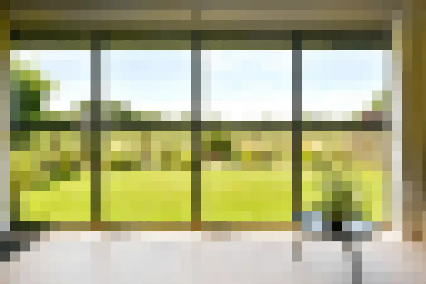 Zilverspar 14 Putten thumbnail 12