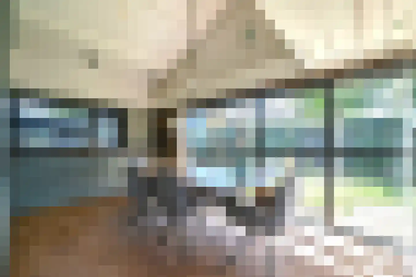 Zilverspar 14 Putten thumbnail 13