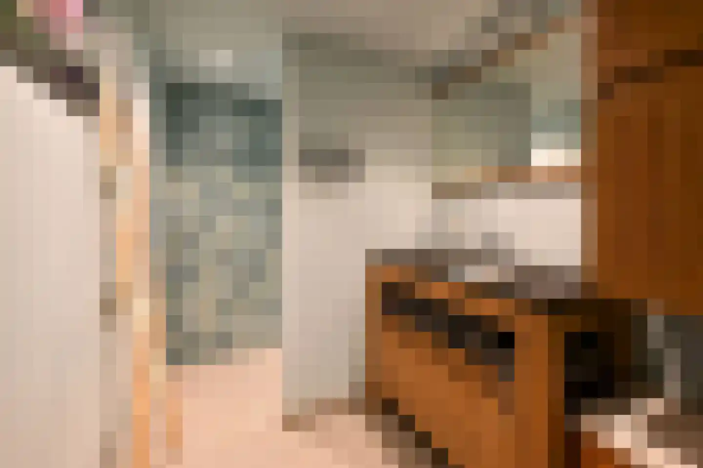 Zilverspar 14 Putten thumbnail 15