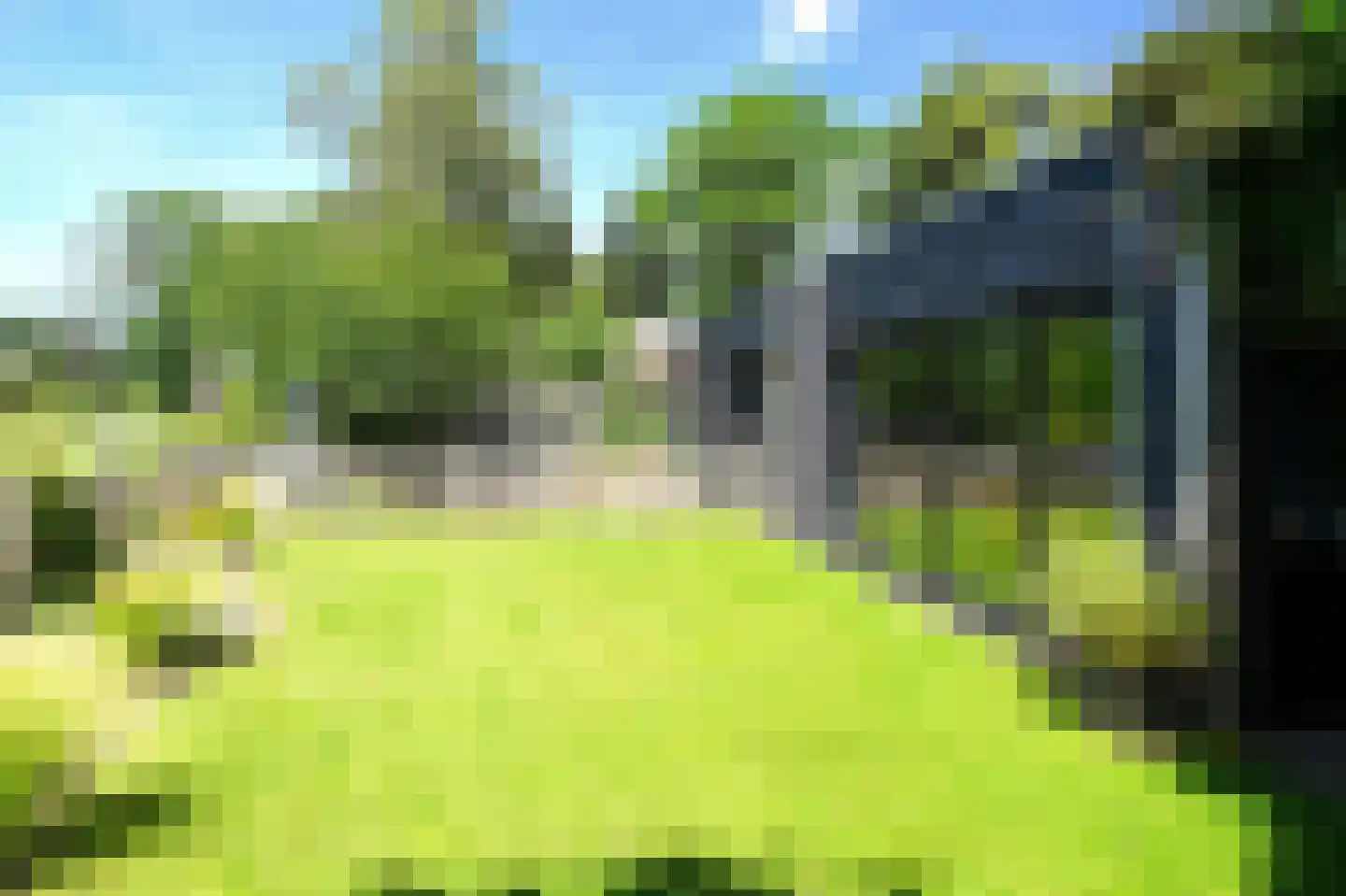 Zilverspar 14 Putten thumbnail 24