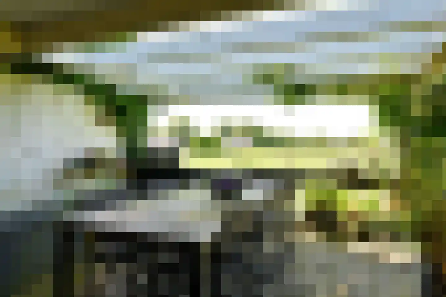 Zilverspar 14 Putten thumbnail 27