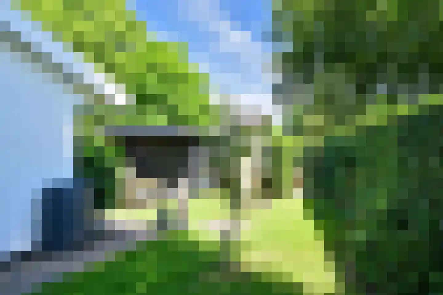 Zilverspar 14 Putten thumbnail 29
