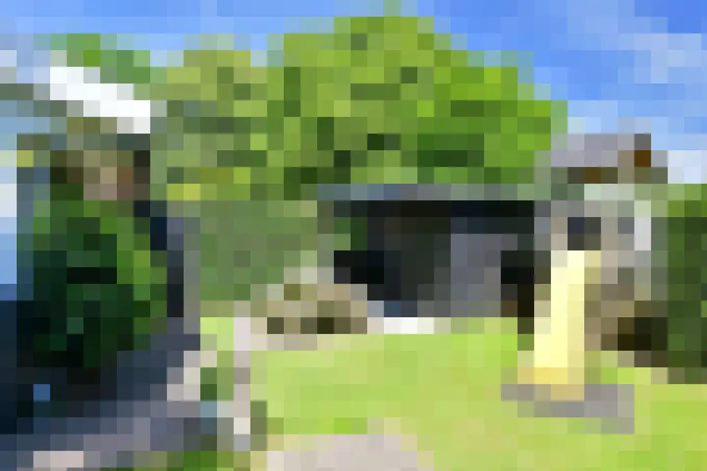 Zilverspar 14 Putten thumbnail 30