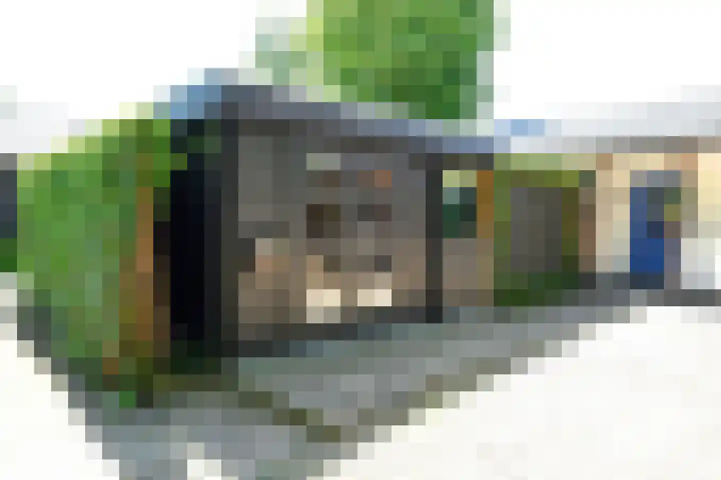 Zilverspar 14 Putten thumbnail 31