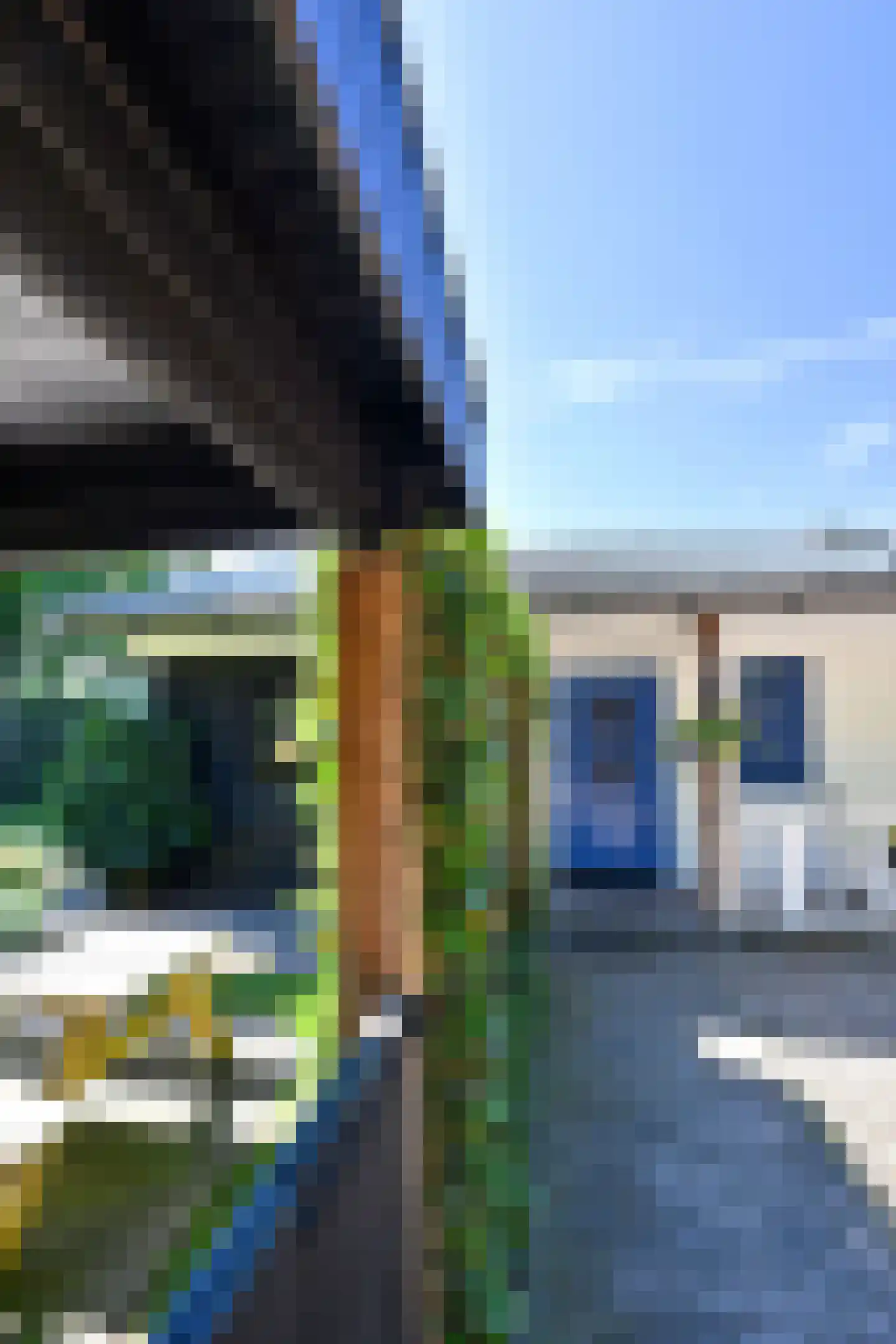 Zilverspar 14 Putten thumbnail 32