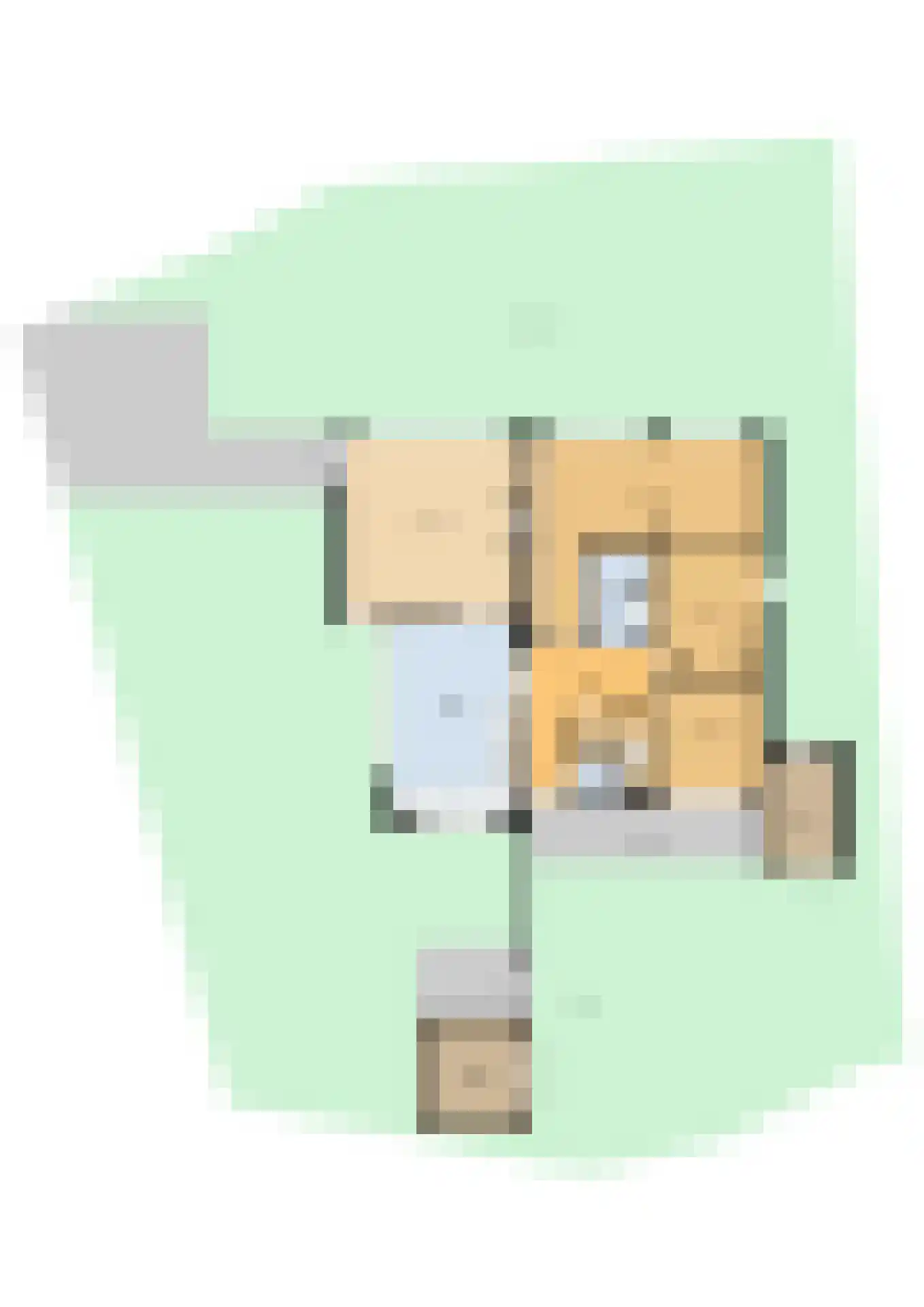 Zilverspar 14 Putten thumbnail 34