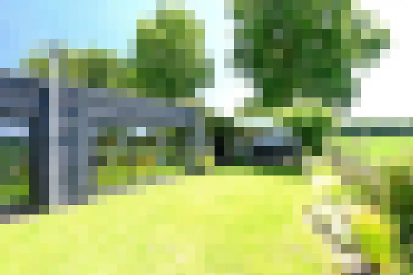 Zilverspar 14 Putten thumbnail 4