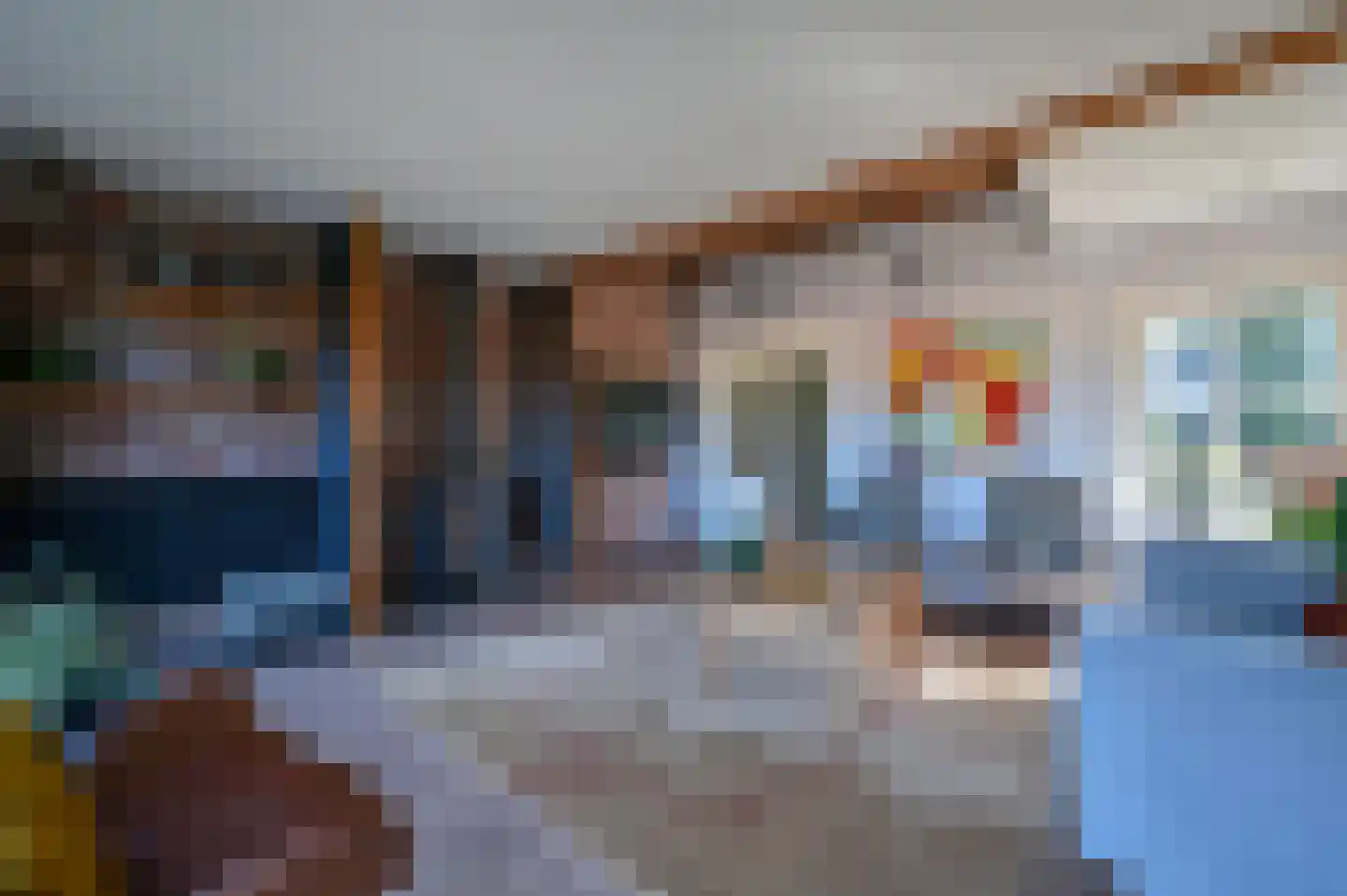Zilverspar 14 Putten thumbnail 8