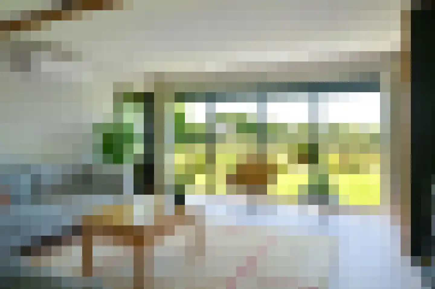 Zilverspar 14 Putten thumbnail 9