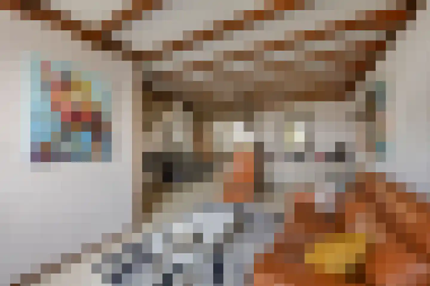 Zilversparstraat 9 Echt thumbnail 13