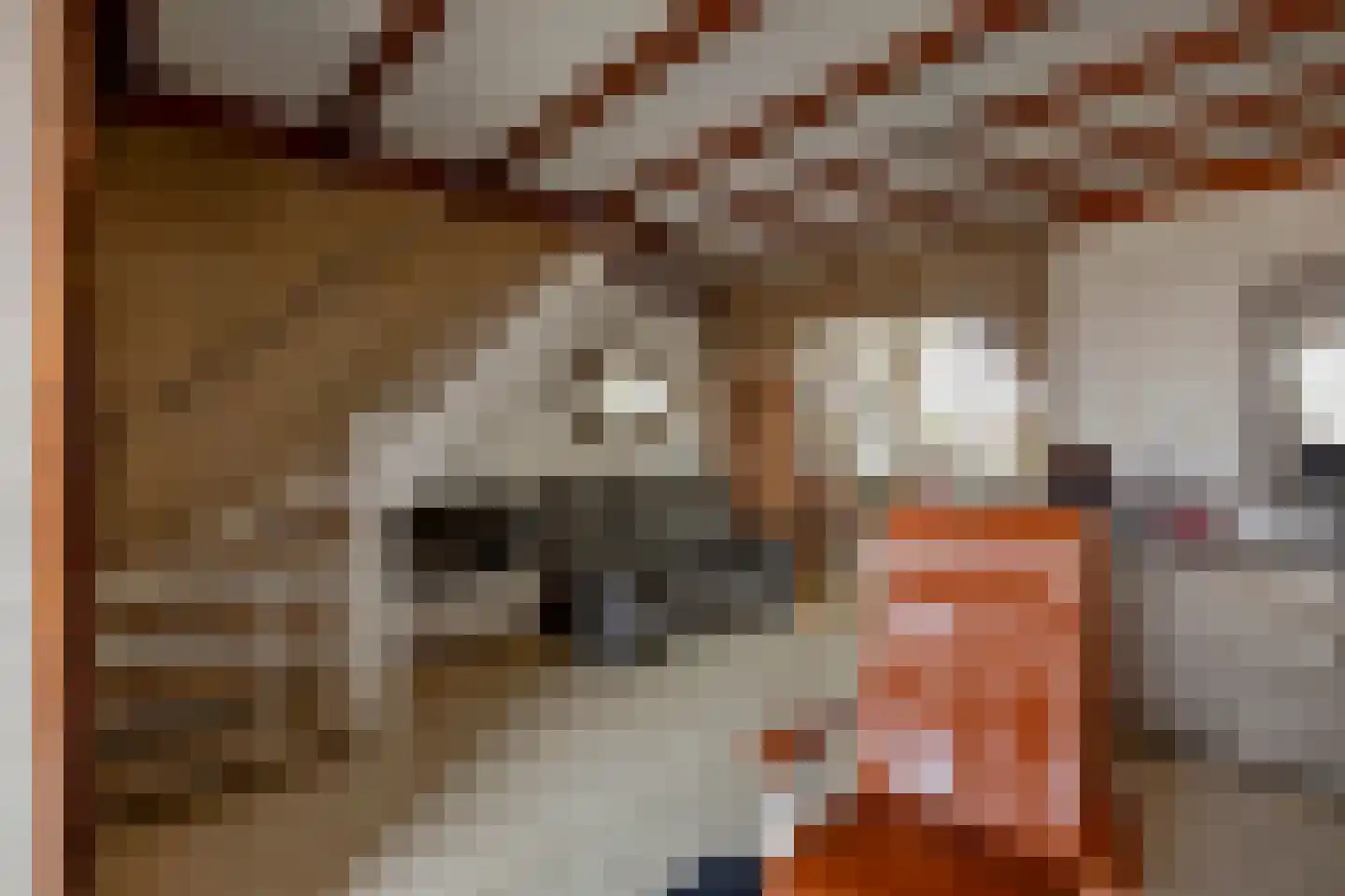 Zilversparstraat 9 Echt thumbnail 14