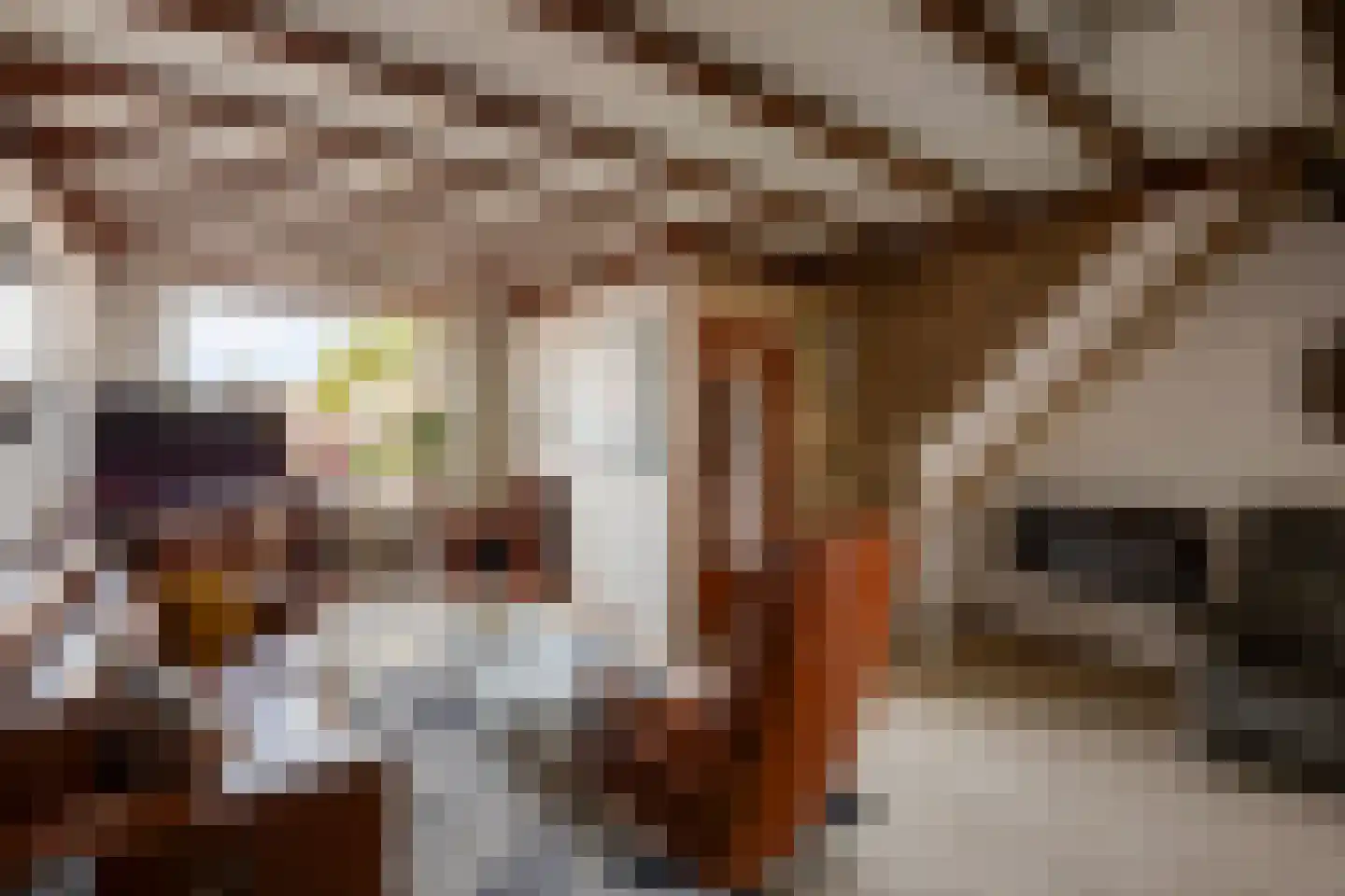 Zilversparstraat 9 Echt thumbnail 15