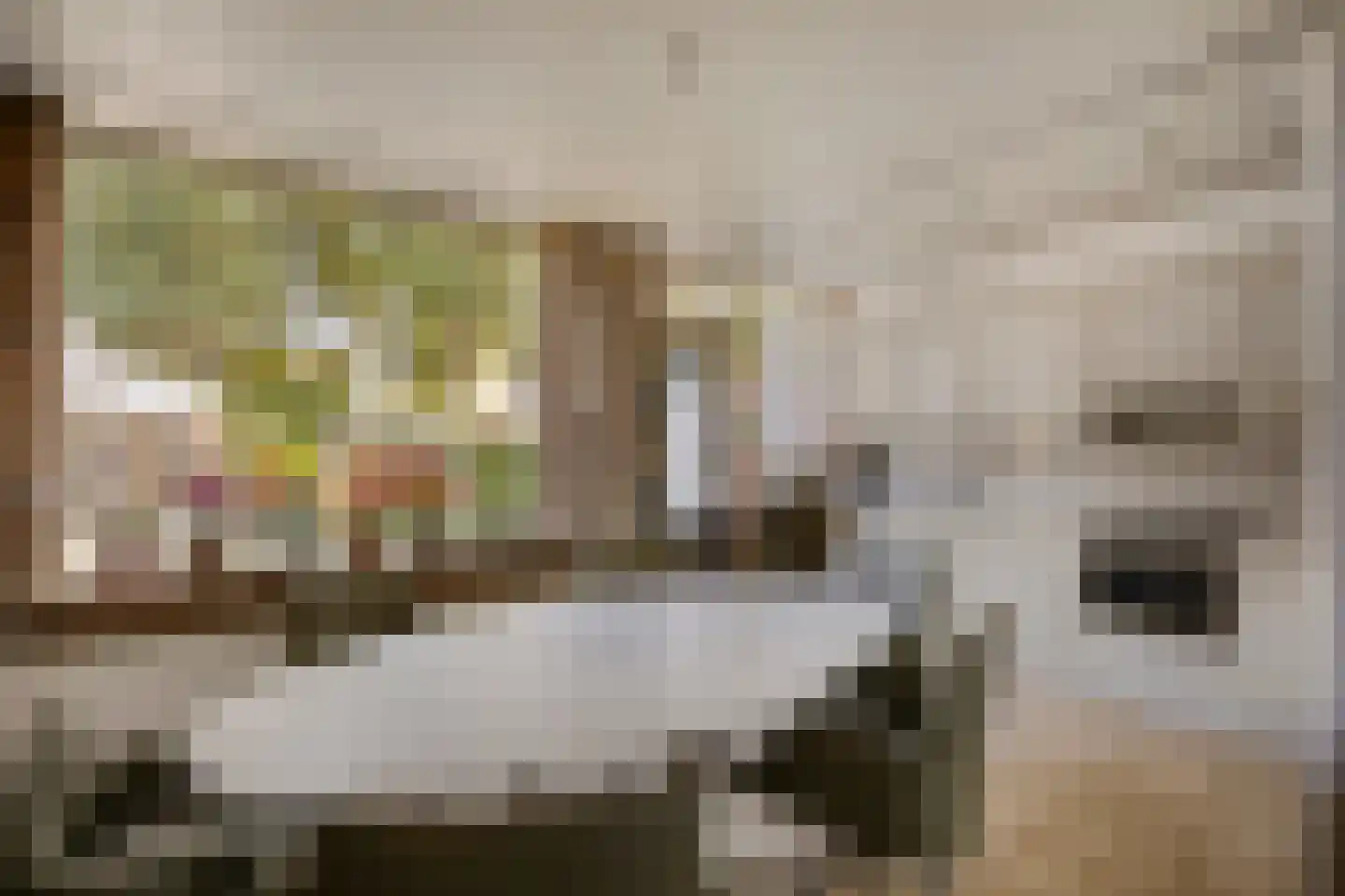 Zilversparstraat 9 Echt thumbnail 18