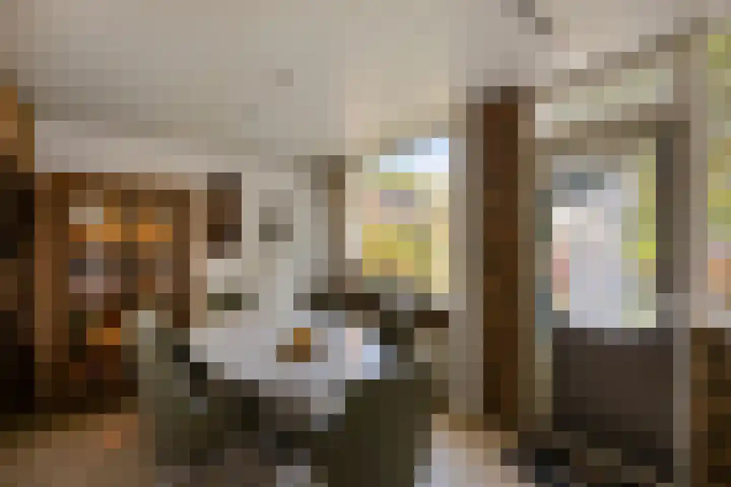 Zilversparstraat 9 Echt thumbnail 19