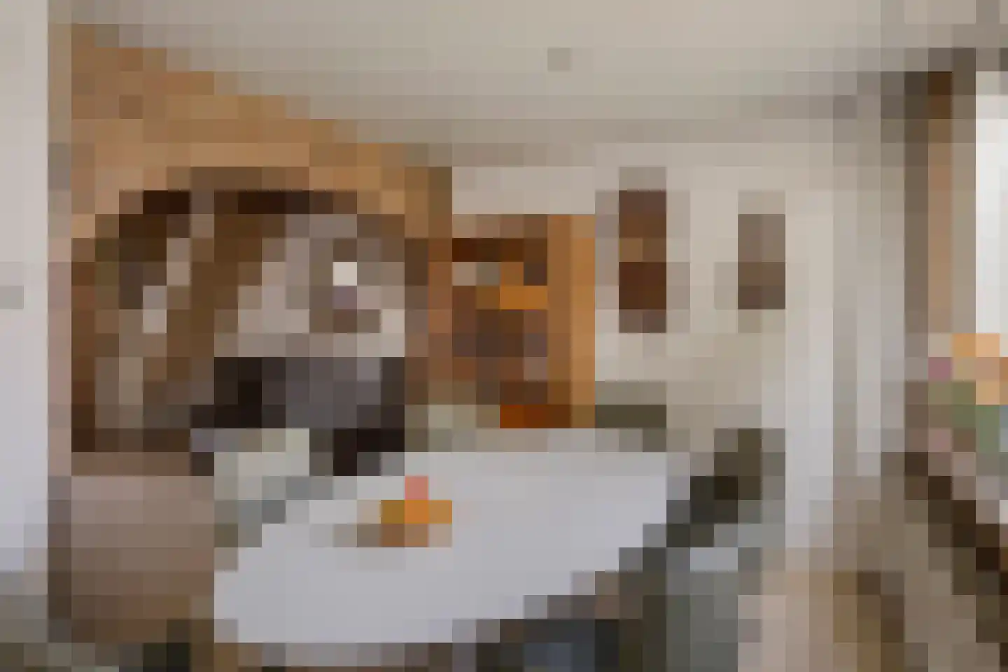 Zilversparstraat 9 Echt thumbnail 20