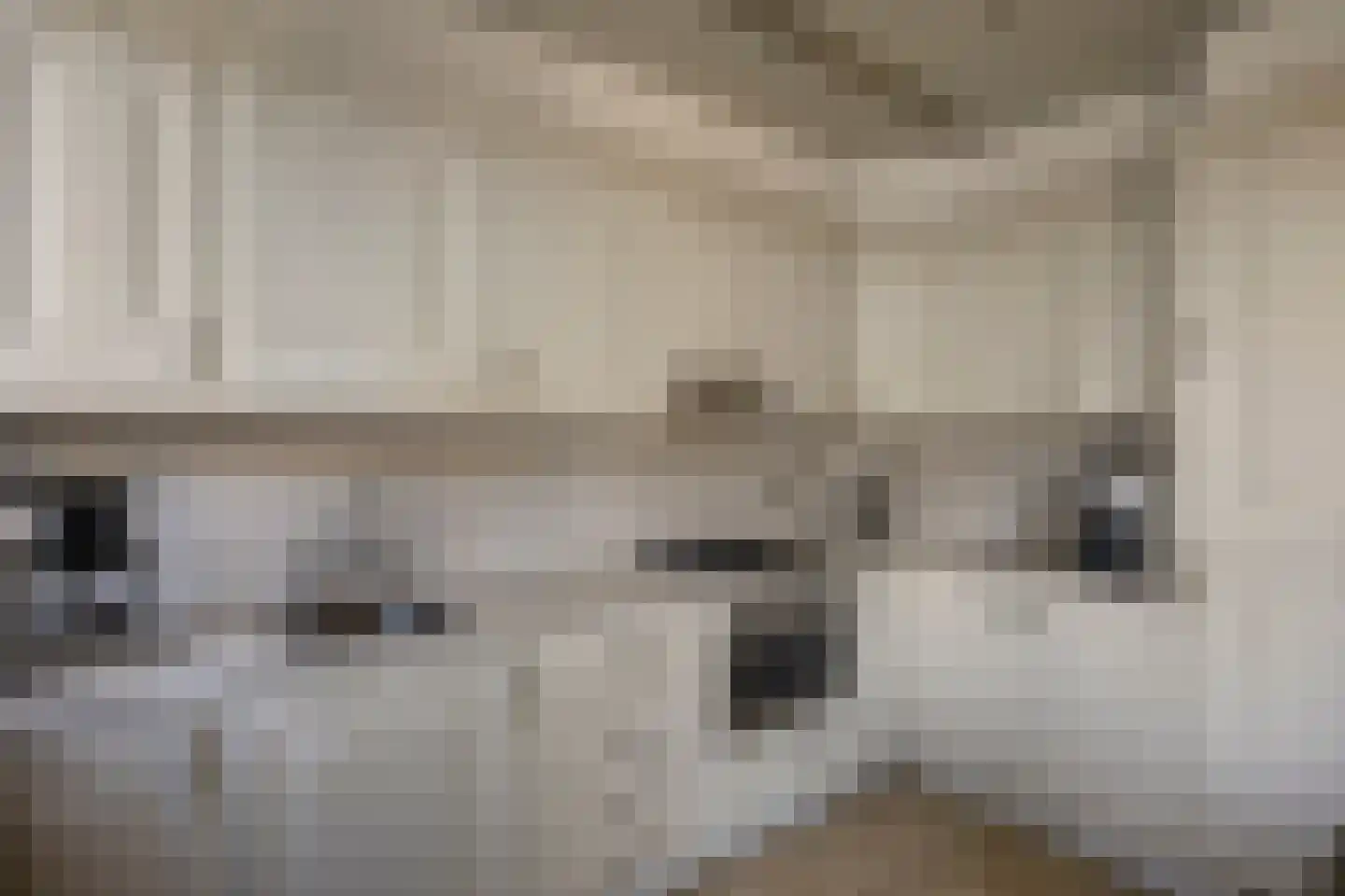 Zilversparstraat 9 Echt thumbnail 25