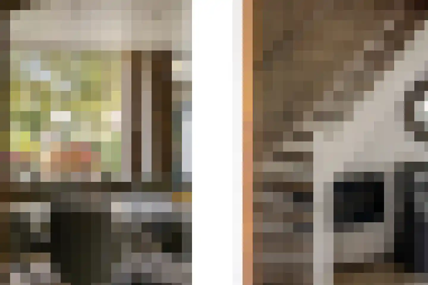 Zilversparstraat 9 Echt thumbnail 28