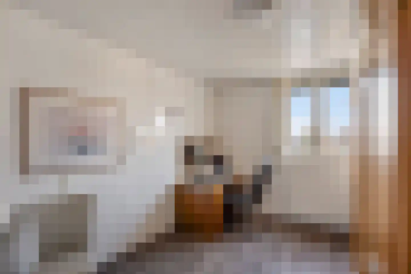 Zilversparstraat 9 Echt thumbnail 34