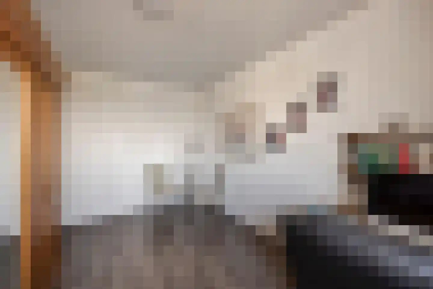 Zilversparstraat 9 Echt thumbnail 35