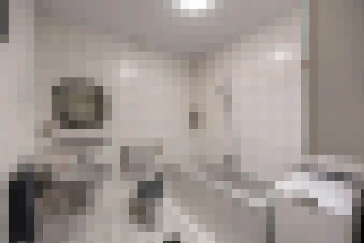 Zilversparstraat 9 Echt thumbnail 37