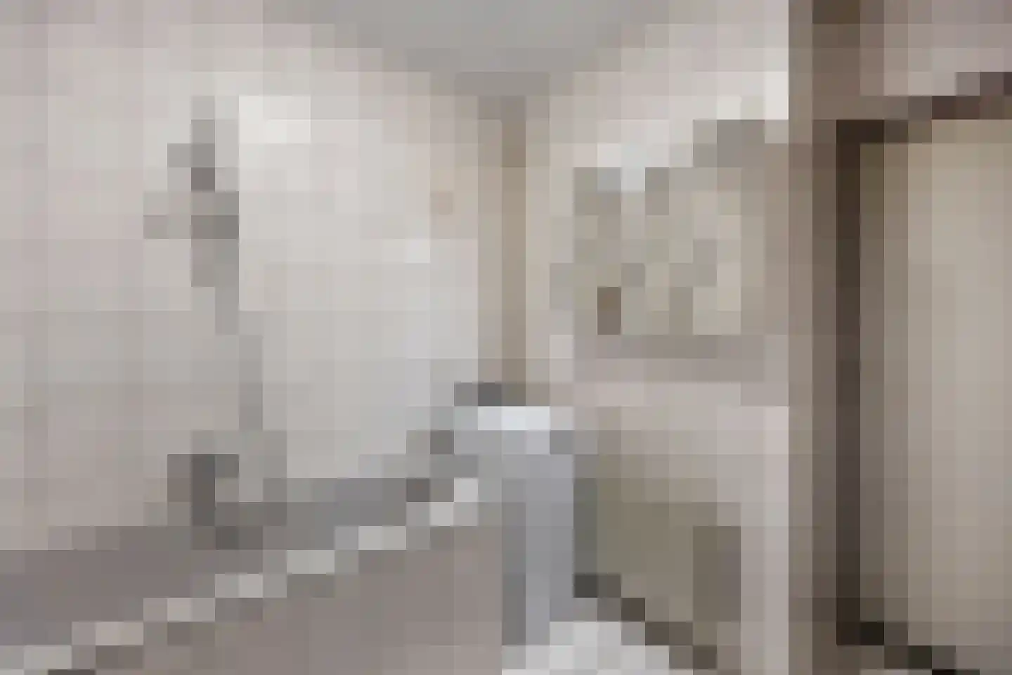 Zilversparstraat 9 Echt thumbnail 39