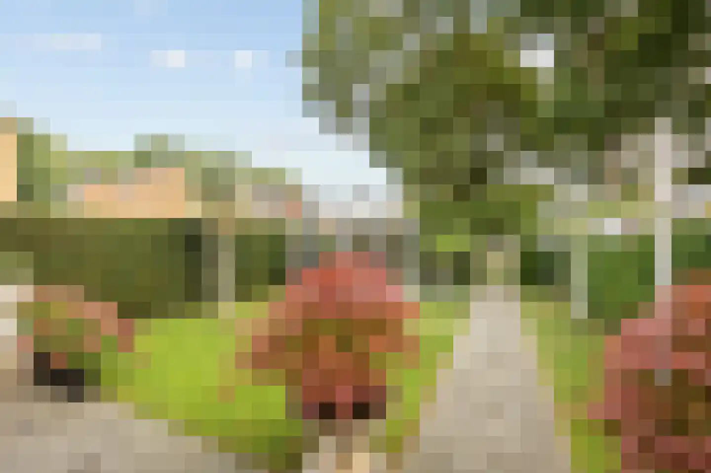 Zilversparstraat 9 Echt thumbnail 43
