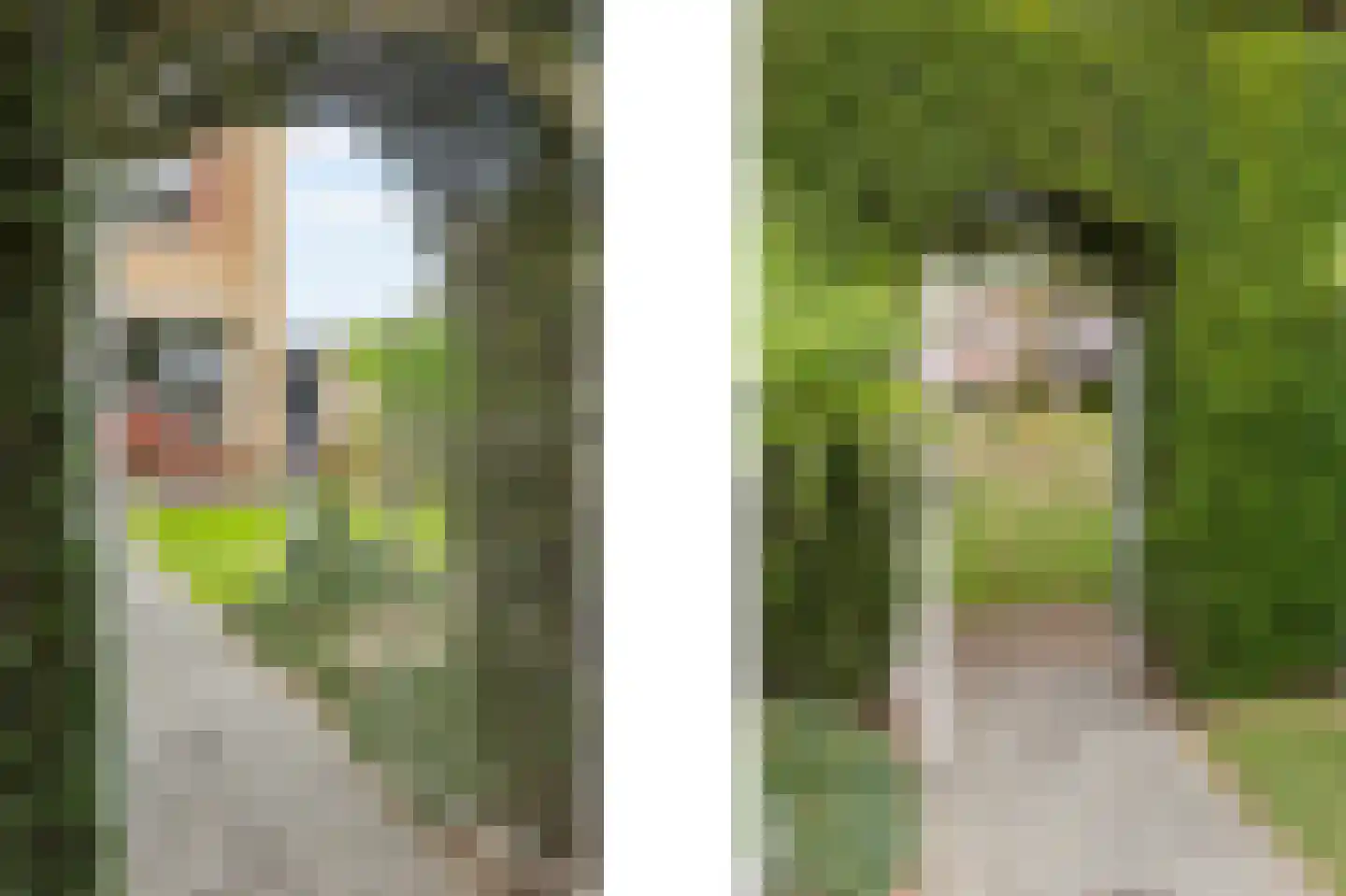 Zilversparstraat 9 Echt thumbnail 5