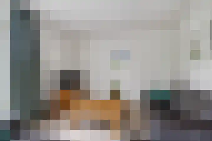 Zilverstede 15 Teteringen thumbnail 12